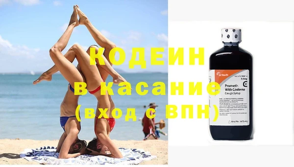 гашик Майский