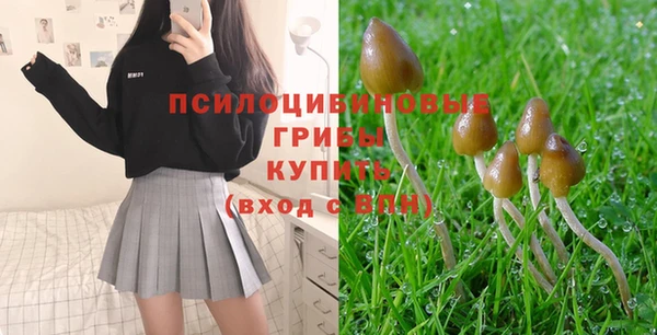 Альфа ПВП Мегион